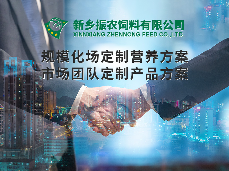 規(guī)?；喼?>
                          </div>
                          <div   id=